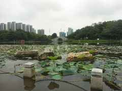 -映月湖公园