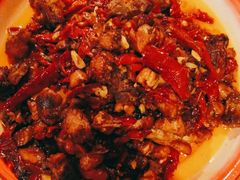 -柴窝堡22号辣子鸡·传承新疆菜