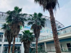 -沈坚强游泳俱乐部(长征分部)
