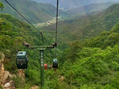 -王顺山国家森林公园
