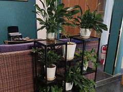 -吉泰·泰式古法按摩·精油SPA
