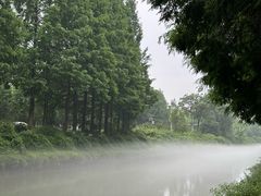 -升仙湖公园