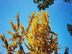 -唐城墙遗址公园