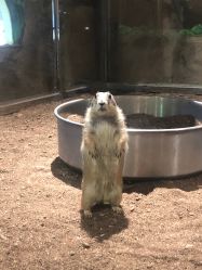 点击看大图 -宝燕乐园(闵行旗舰店)