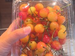 -船歌·鱼水饺青岛菜(石老人店)