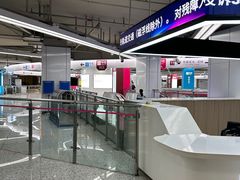 -东方体育中心(地铁站)