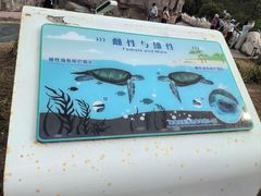 -广东惠东海龟国家级自然保护区