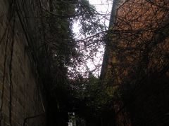 DSCN2230-小洲村