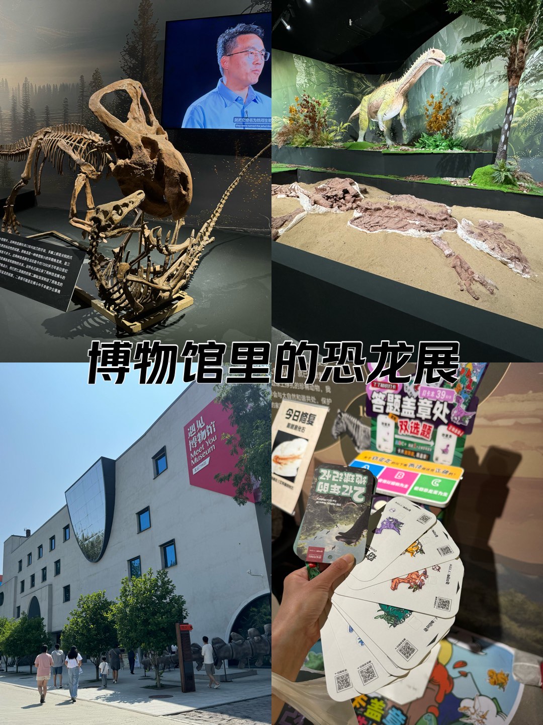 滴翠山庄恐龙展图片