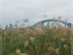 -汉江湾体育公园