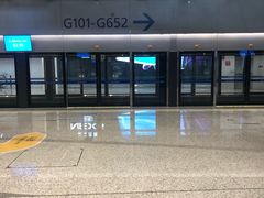 -上海浦东国际机场-T2航站楼