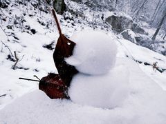 -秦岭终南山世界地质公园翠华山景区