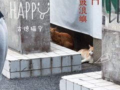 -林四喜·闽南传家菜(鼓浪屿店)