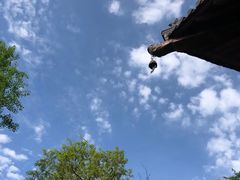 -杭州半山国家森林公园