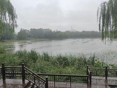 -北坞公园