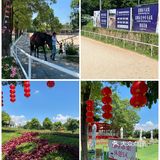 🐮国庆假期亲子游好去处｜光明农场大观园