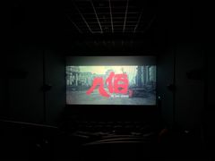 -幸福蓝海国际影城(河西店)