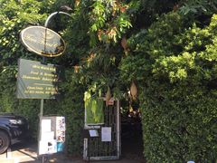 门面-Fern Forest Cafe