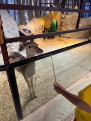 -酷嗒动物文化乐园(cutezoo西溪乐天城店)