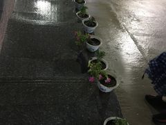 -海岸风情蒸汽海鲜自助餐厅(家宴金手勺店)
