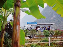 -明仕田园