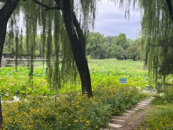 点击看大图 -北京新世纪妇幼医院·产检·分娩·计生(望京院区)