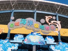 -泉城欧乐堡海洋极地世界