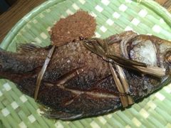 -茶花妹子云南餐厅(北大店)