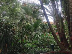 -海南热带野生动植物园