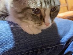 -白兔子密室(长寿路店)