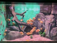 -常州海昌海洋探索馆