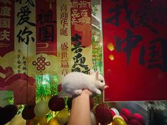 -新紫霞养生·影院足道·SPA(金山区店)