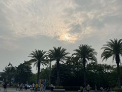 -宝安西湾红树林湿地公园