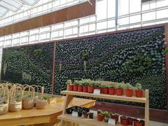-黄龙溪欢乐田园