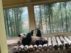 -杭州野生动物世界