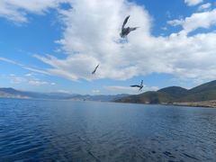 -泸沽湖里格半岛