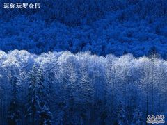 -汉拿山(包河万达店)