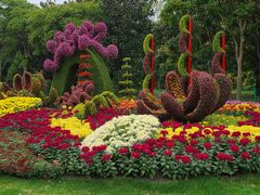 -上海共青森林公园