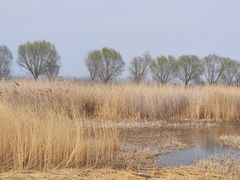 -野鸭湖国家湿地公园