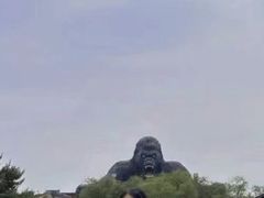 -太阳部落