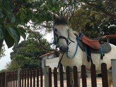 -泉州海丝野生动物世界