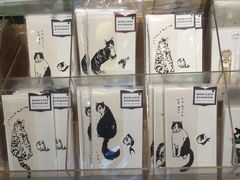 -猫的天空之城概念书店(丽江古城饮玉巷店)