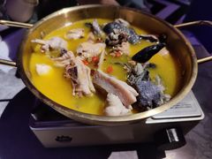 -Darling Queen·Mini·Live·House