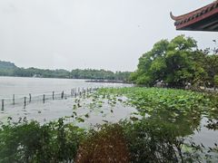 -湖畔居茶楼(湖滨店)