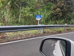 -海南热带雨林国家公园吊罗山景区