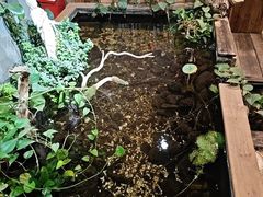 -邈墨茶馆(大兜路1号店)