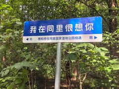 -同里国家湿地公园