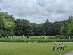 -上海共青森林公园