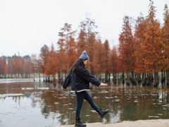 -白鹭湾湿地公园