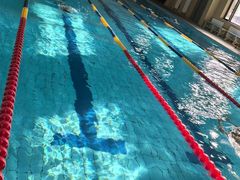 -鲸灵公元游泳中心